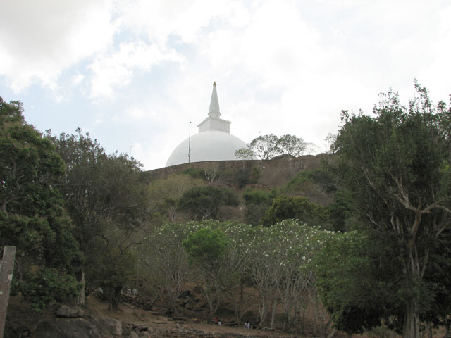 �}�n�[�E�T�[���哃