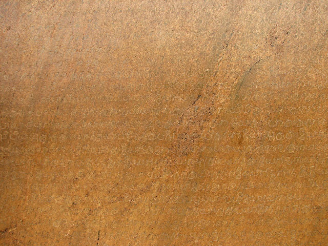 �X�������J�ŌÂ̕���