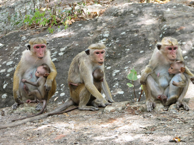 �q������