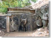 �V���n�E�|�N�i