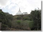 �}�n�[�E�T�[���哃