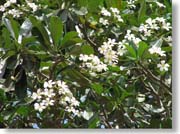 �v�������A