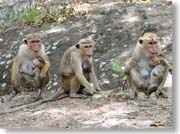 �q������