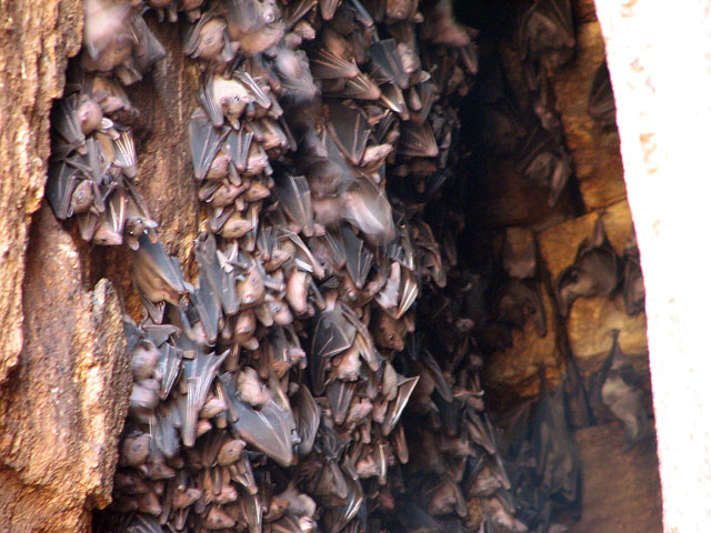 �R�E����