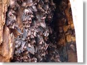 �R�E����