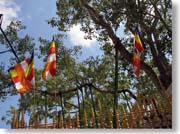 �X���[�E�}�n�[����