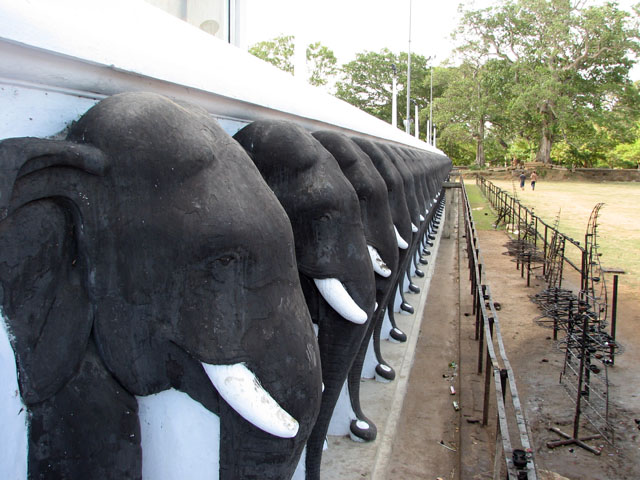 ���̒���