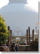 �ڂ̑O�ɋ���Ȕ�������