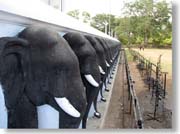 ���̒���