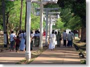 �Ώ�̔�������