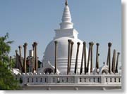 �g�D�[�p�[���[�}�E�_�[�J�p