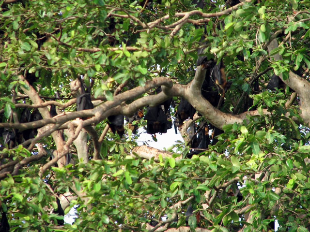 �R�E����