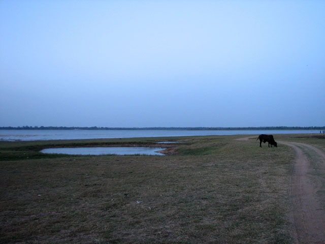 �z�e���߂��̌�