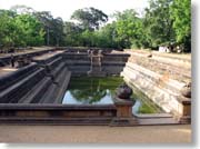 �N�b�^���E�|�N�i