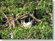 �R�E����