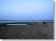 �k�����E�E�F����