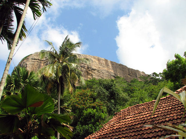 �V�M���A���b�N�̂悤�Ȋ�