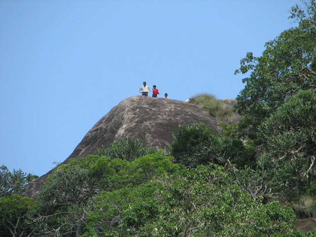 �V�M���A���b�N�̂悤�Ȋ�