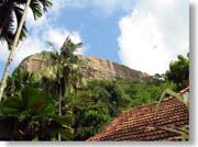 �V�M���A���b�N�̂悤�Ȋ�