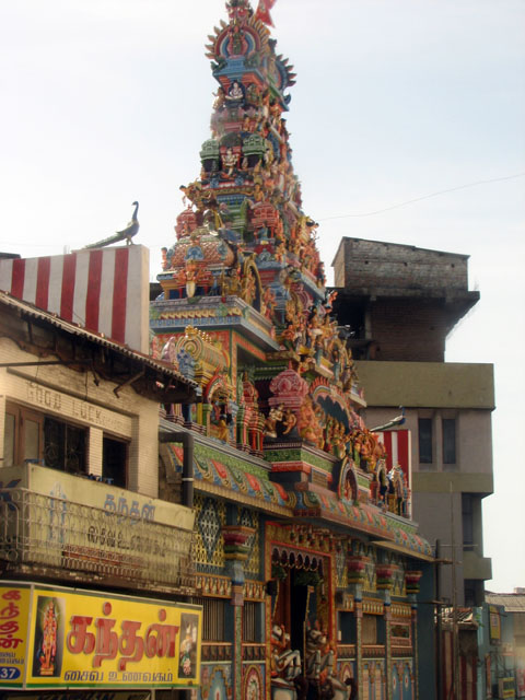 �C���h�l�X�̏ے�