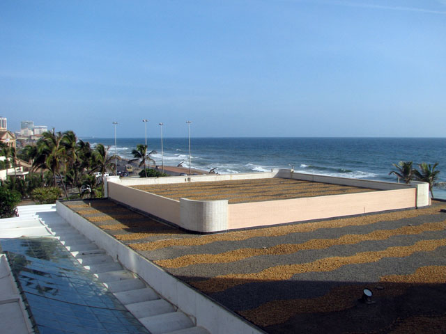 �z�e���̕�������