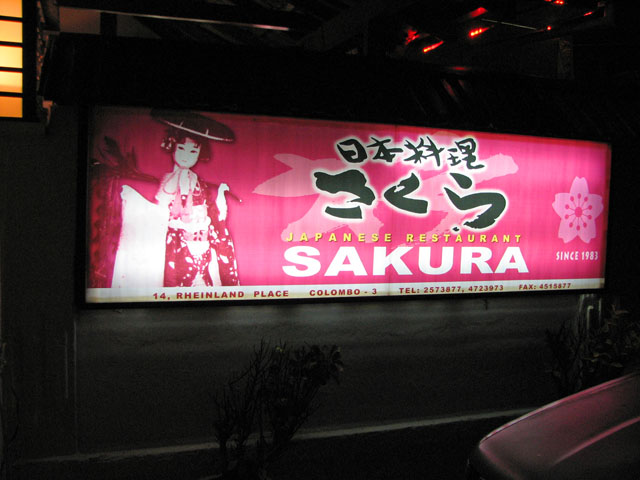 ���{����������