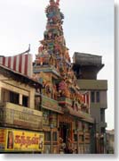 �C���h�l�X�̏ے�