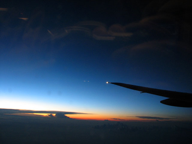 �������Ă���