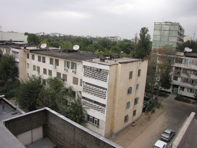 �f�f�}���E�z�e���T�O�W�������猩���i�F