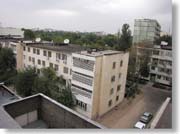 �f�f�}���E�z�e���T�O�W�������猩���i�F