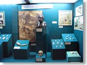 �E�Y�x�L�X�^�����j�����ق�������Ƃ���