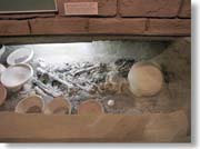 �S�O��̏����̍�