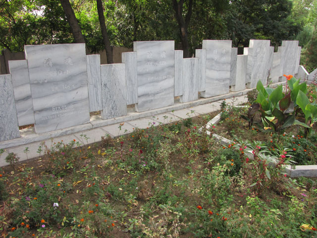 ���{�l��n�P