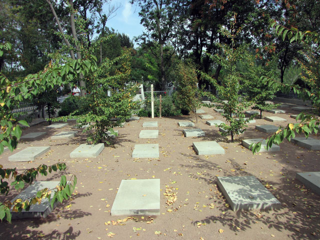 ���{�l��n�Q