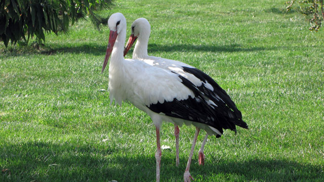 �R�E�m�g��