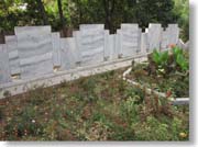 ���{�l��n�P