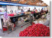 �ԃp�v���J�������ς�