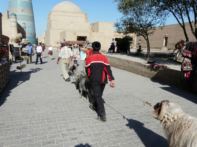 �r�H�������A��ĕ����j