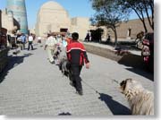 �r�H�������A��ĕ����j