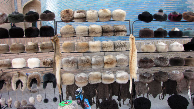 ���V�A���X