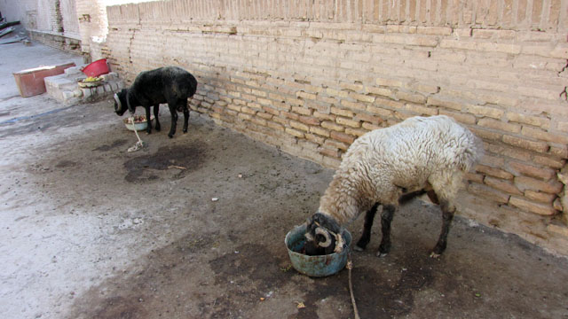 �r�i�R�r�H�j����