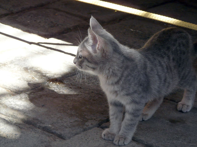 �N���Ă����Ƃ��̔L