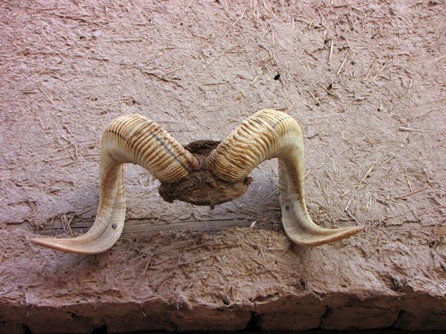 �����̊p�H