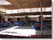 �`���C�n�i�E�t�@���[�t�̓X��