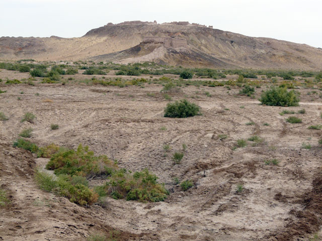 �����ɃA���Y�E�J��