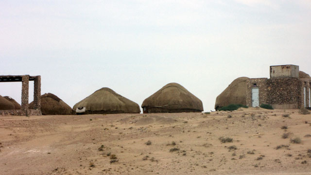 �L�m�R�̂悤�ȃ����^