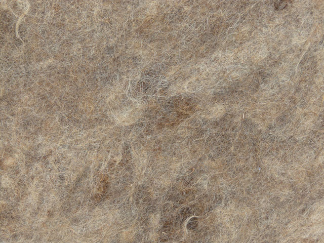 �����^�̃A�b�v