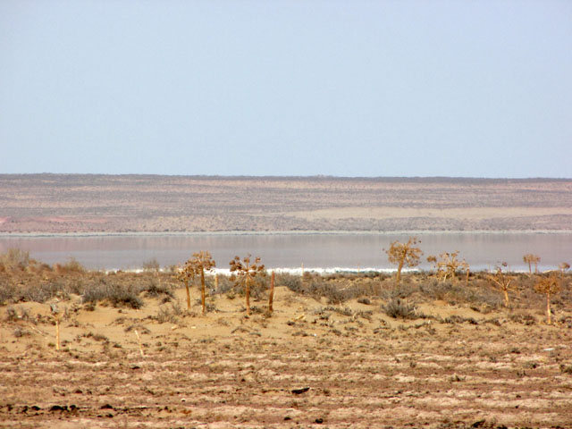 �����r�H