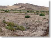 �����ɃA���Y�E�J��