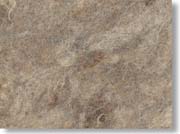 �����^�̃A�b�v